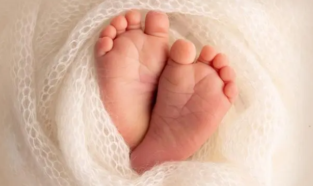 1343份育龄青年调查样本：两大原因成抑制生育主要因素