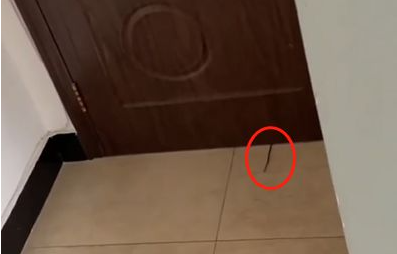 变态！北京女子遭合租男室友偷窥