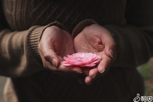 多吃健康的食物