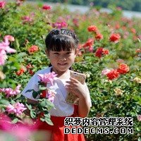 45165_林志玲婚后被爆做“三代试管”，花40万新台币有望明年生双胞胎