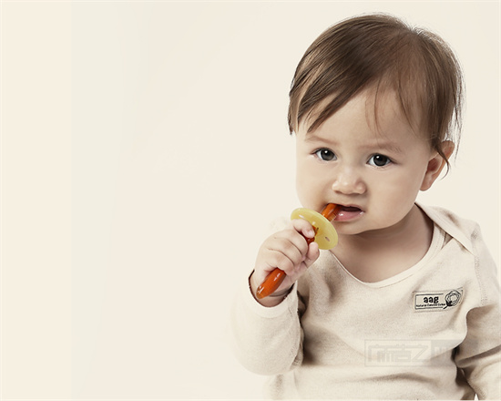 2024广东各区三胎政策最新规定！揭晓广东三胎开放时间