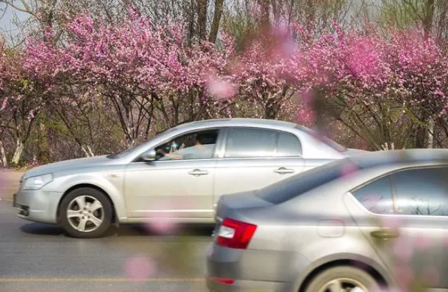 载孕妇车辆遭多次恶意别车，交警回应：正在调查