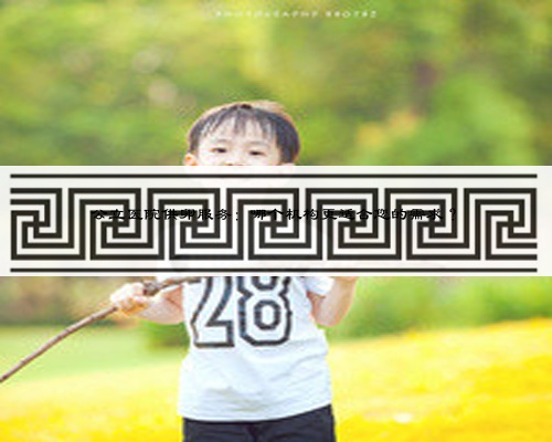 公立医院供卵服务：哪个机构更适合您的需求？