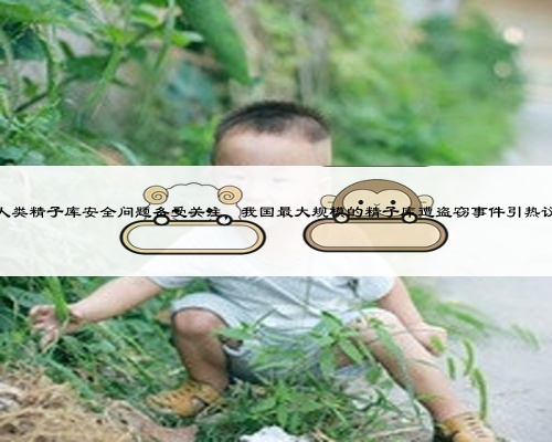 人类精子库安全问题备受关注，我国最大规模的精子库遭盗窃事件引热议
