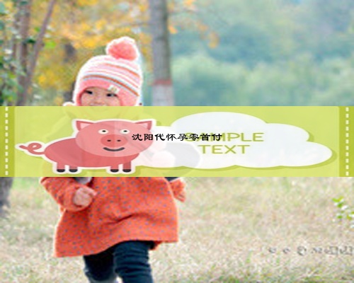 沈阳代怀孕零首付