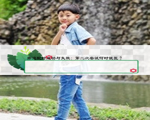 卵泡配对成功与失败：第二次尝试何时就医？