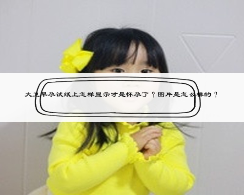 大卫早孕试纸上怎样显示才是怀孕了？图片是怎么样的？