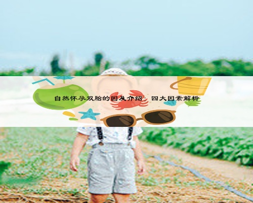 自然怀孕双胎的因及介绍：四大因素解析