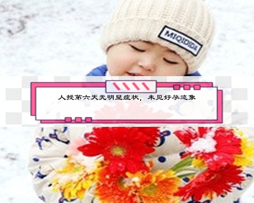 人授第六天无明显症状，未见好孕迹象