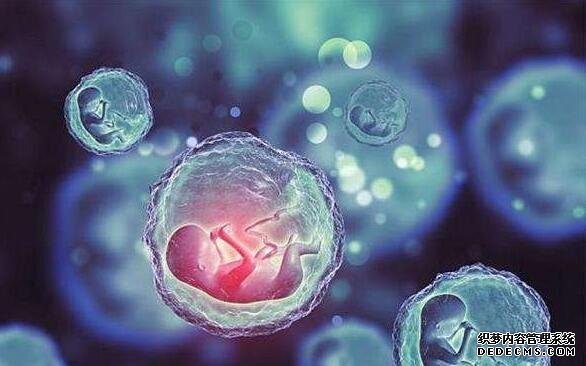 厦门取卵捐卵 厦门去泰国做试管好吗？为什么越来越多人去做泰国试管婴儿 ‘12周胎儿b超男一团菌状’