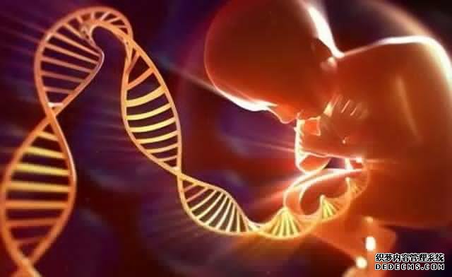 月经过后什么时间最容易怀孕？排卵期精确计算方式