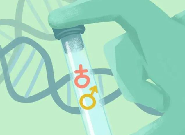 上海哪家试管婴儿医院专业水平很高呢？