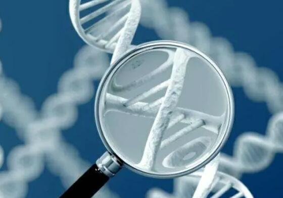 辽宁供卵试管 2023年辽宁试管婴儿医院怎么挑 ‘营口伊人26周四维看男女准么’