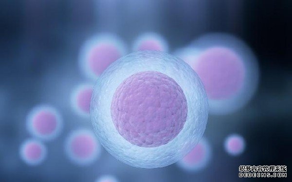 南昌代孕qq 南昌三代试管婴儿成本高吗?具体贵在哪里? ‘营口伊人26周四维看男女准么’