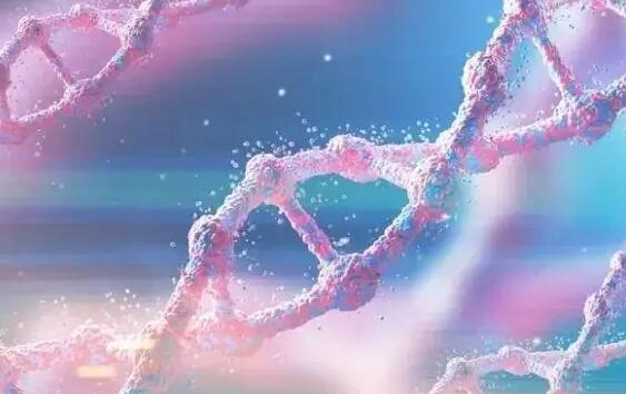 郴州三代试管 郴州南院试管没以前人多了是真的吗？ ‘四维hr160次/分是男是女’