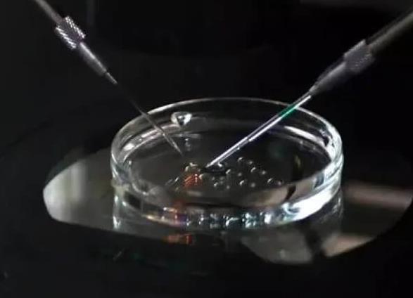 长沙试管供卵 长沙正规供卵试管医院名单 ‘四维彩超通过胎心率可以看出男女吗’