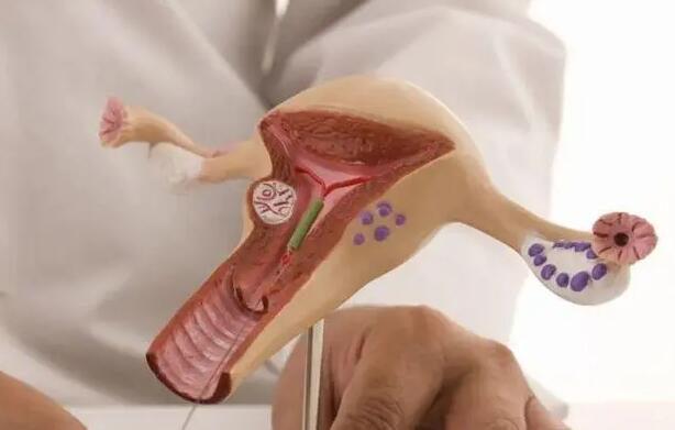 潍坊人民医院试管怎么样 潍坊附属生殖试管经历是什么？有什么经验？ ‘三维看得出男女’