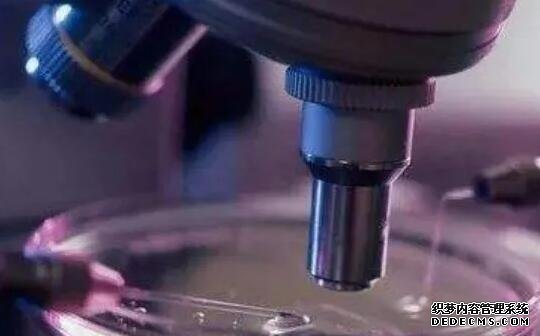 卵巢破裂对女性健康危害大，有可能会出现无法生育的情况