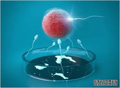 广西供卵不排队 2022广西壮族自治区生殖医院前十排名公布，附试管费用估算及成功率 ‘b超如何测男女’