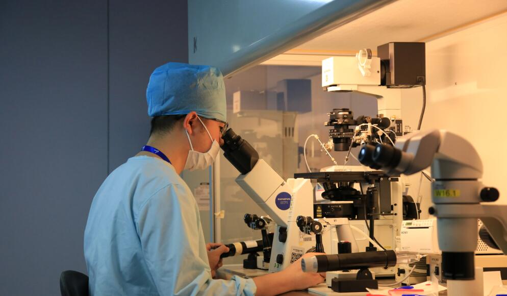 天津三代试管成功率找南方试管机构 2023天津983医院能做第三代试管婴儿吗？ ‘彩超里男孩和女孩图片’