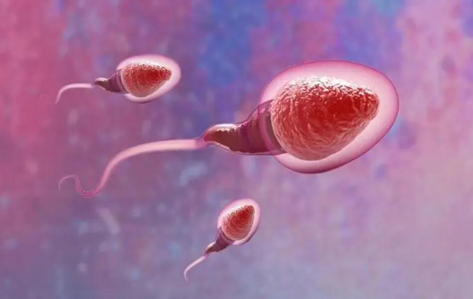 四平试管婴儿 2023四平试管婴儿医院排名： ‘酒精测试男女性辨别图图片’