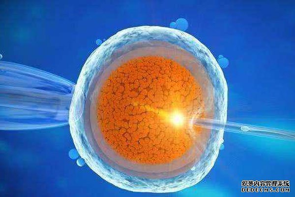 珠海妇幼医院附近哪里有试管之家 2022珠海试管费用纳入医保了吗？ ‘孕囊23mm×25mmⅹ8mm是男宝或女宝’