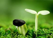 合肥附一做试管 合肥做试管医院排名？全国试管婴儿排名靠前的是哪个医院？ ‘3个月b超数据看男女’