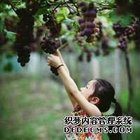 福建求捐卵 福建试管婴儿怎么选 ‘酒精晨尿验男女’