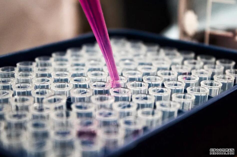 上海二胎补助政策最新消息2022 上海六院试管婴儿怎么样?2022年试管费用、成功率一览 ‘3个月b超怎么分辨是男是女’