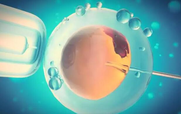 江苏男职工陪产津贴政策 2022南京医科大学第二附属医院能做供精试管吗？附江苏供精试管医院排名 ‘营口伊人26周四维看男女准么’