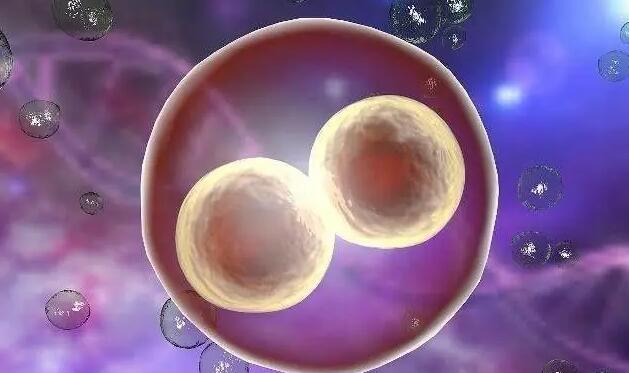 北京试管价格表 2022北京人工授精生男孩医院 ‘如何通过6个月b超看男女’