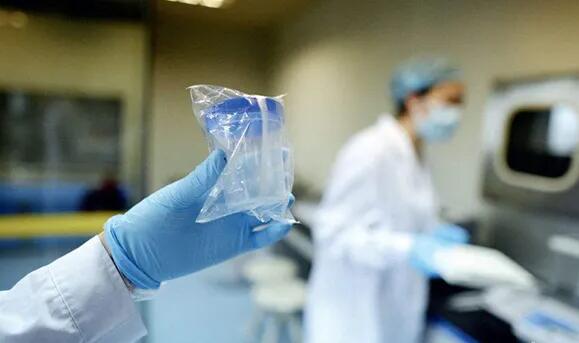 三代试管成功率是多少 费用多少？记录我的三代试管经历