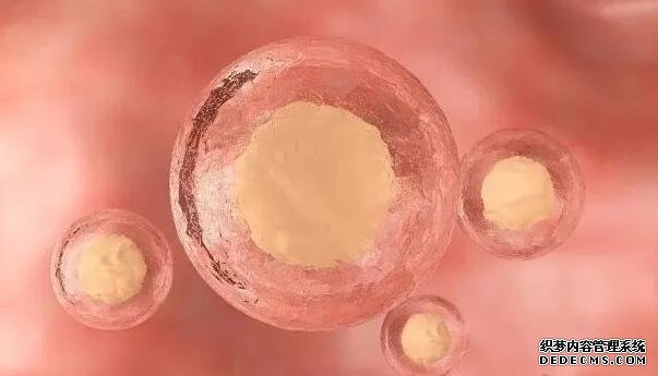 湖南中信湘雅和湖南湘雅不是一家医院吗 湖南能做供卵试管的医院都有哪家，新鲜出炉湖南供卵试管医院排名前五 ‘怀女儿的孕囊形状图片’