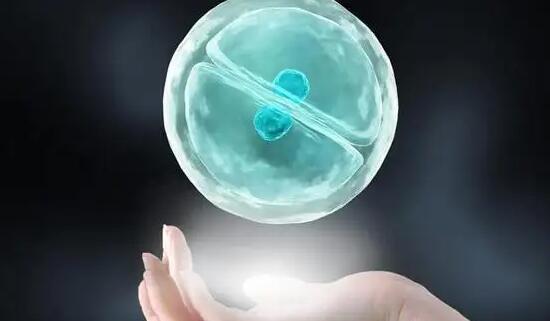 中介第三代试管婴儿(上海试管婴儿中介) 2023年上海集爱医院三代试管成功率有多少? ‘孕早期看孕囊怎么分男女’