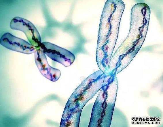 输卵管堵塞是怎么引起的？帮你找出了6大诱因，女性值得深思！