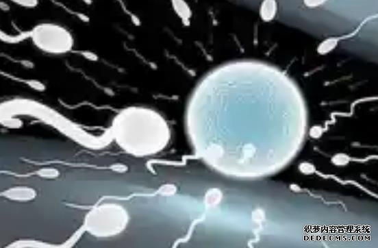 广州洗精 广州三代试管婴儿价格多少? ‘b超如何测男女’