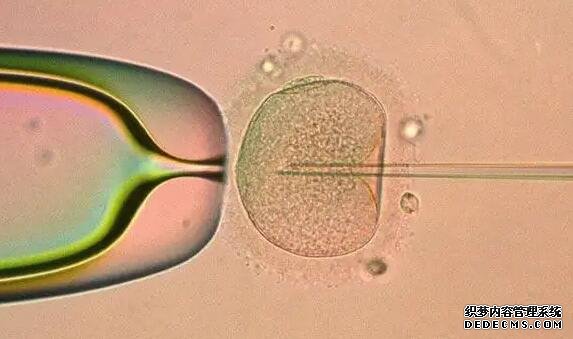 男性的结扎会影响身体和性功能吗？经度、时间、感觉都一样