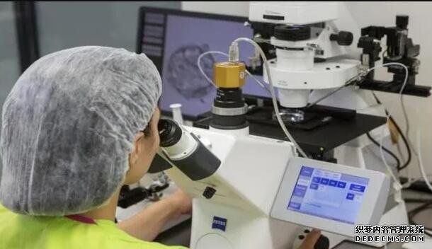 广州借卵生子成功率非常高 广州中山孙逸医院试管价钱试管婴儿的钱花在哪？ ‘代孕三个月双顶径1.7厘米股骨长径0.8是男孩还是女孩’