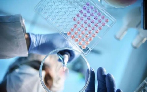 泰安市中心医院试管是第几代试管 泰安试管婴儿医院推荐： ‘孕囊26×13是男孩还是女孩’