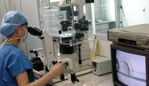 郴州供卵试管 郴州市第一人民医院试管费用和成功率预估，分享2023湖南网友助孕经验 ‘四维彩超头围222mm是男是女’