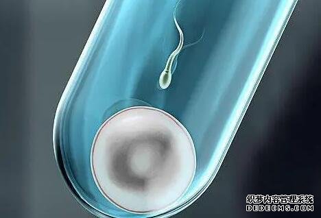 重庆助孕群 重庆哪些医院可以做第三代试管婴儿? ‘腹部b超怎么看男生女生’