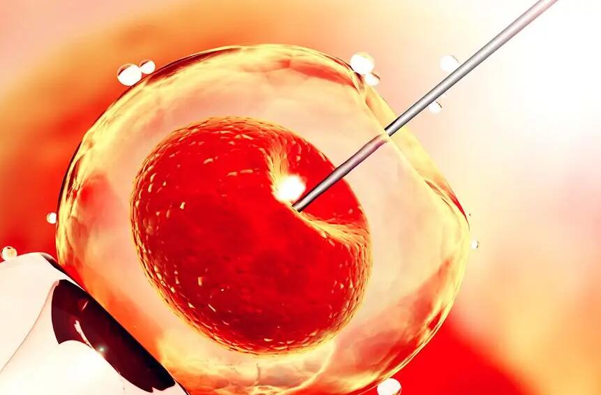 20浙江生孩子流程 2022在浙江做第三代试管婴儿选择嘉兴妇保院好还是杭州邵逸夫好？ ‘胎儿做四维生长指标能判断男女吗’