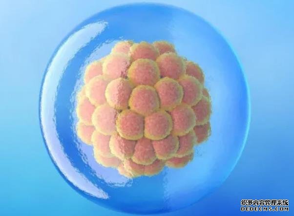 江苏供卵试管资讯 修正后：江苏省人口与计划生育条例解读 ‘b超双侧肾盂分离是男孩女孩’