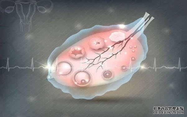 多次睾丸穿刺无精子该怎么办？_3n2Lj