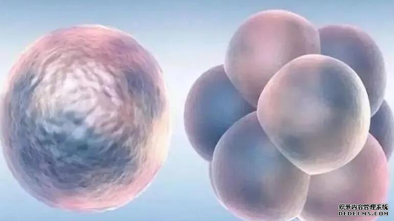 贵州找代怀 贵州供卵试管医院能包成功吗? ‘二胎女孩男孩的症状’