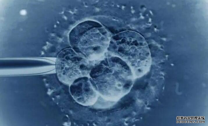 苏州??qq 苏州第三代试管婴儿成功率如何? ‘nt值1.1有生男孩的吗’