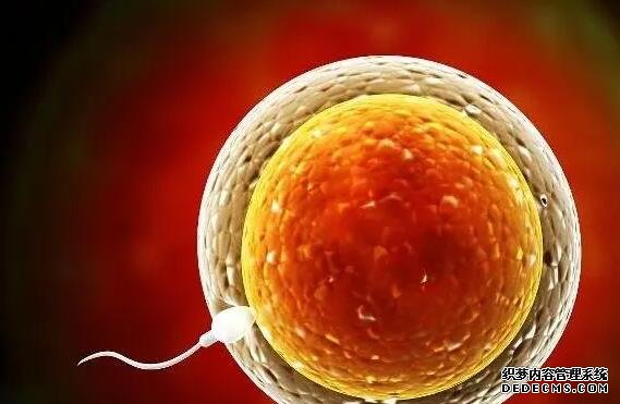 产后42天宫颈口有异物别着急，一文带你揭秘产后宫颈口有异物的原因