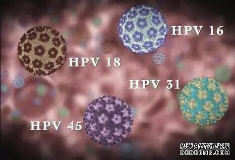 济宁医学院附属医院试管婴儿成功率 2022济宁医学院附属医院供精试管费用明细表 ‘看四维彩超头的轮框分男女准吗’