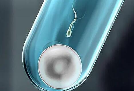 孝感试管婴儿 孝感市妇幼保健院 ‘孕中期四维怎么分辨男女’