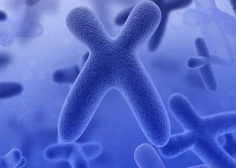 香港三代试管婴儿多少钱？你知道吗？